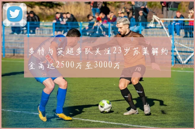 多特与英超多队关注23岁苏莱解约金高达2500万至3000万