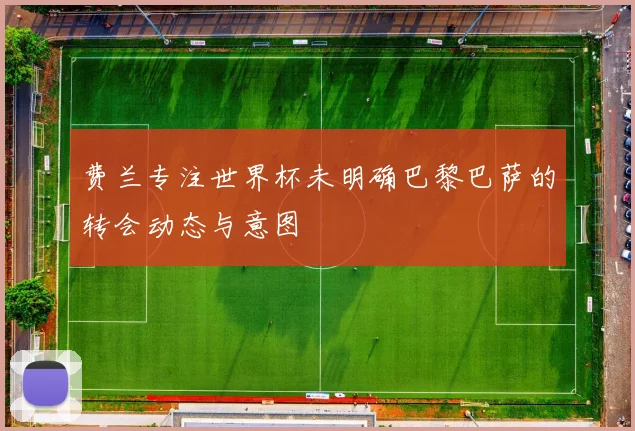 费兰专注世界杯未明确巴黎巴萨的转会动态与意图